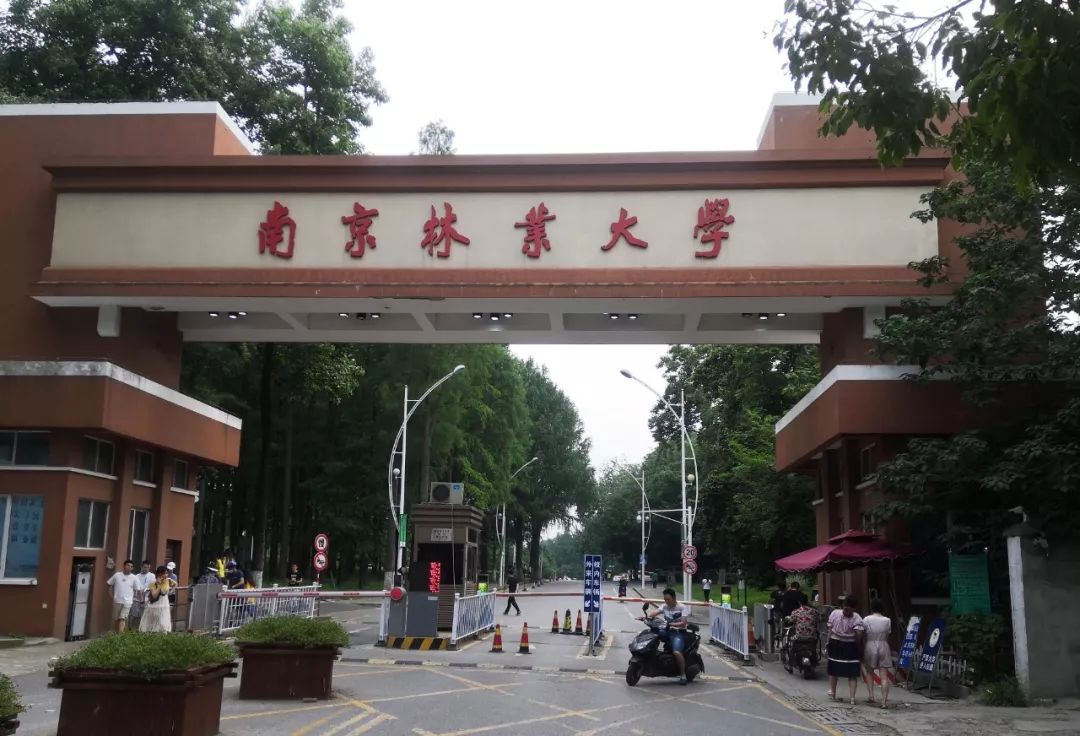 南京林業(yè)大學